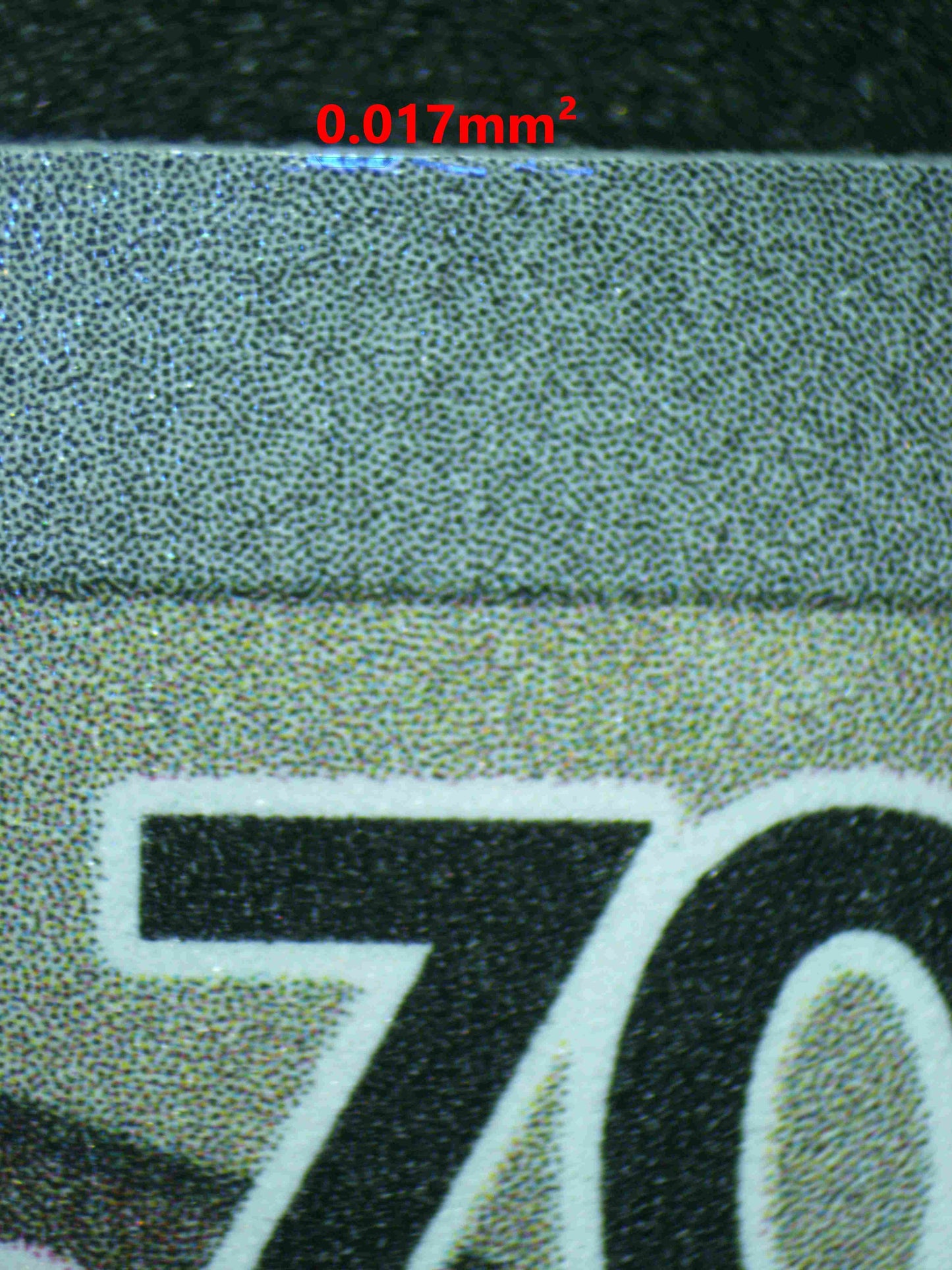 06841 N'S ZORUA (LATAM) Grading Card