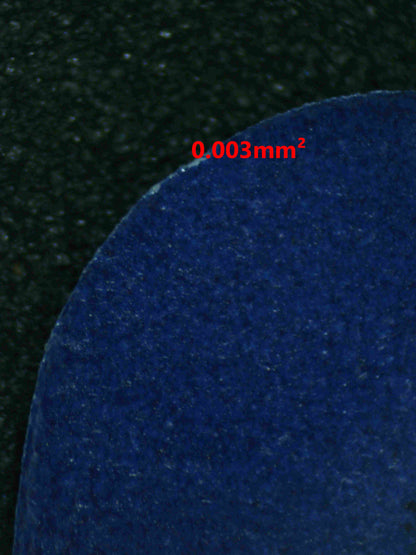 06842 WAILORD (LATAM) Grading Card