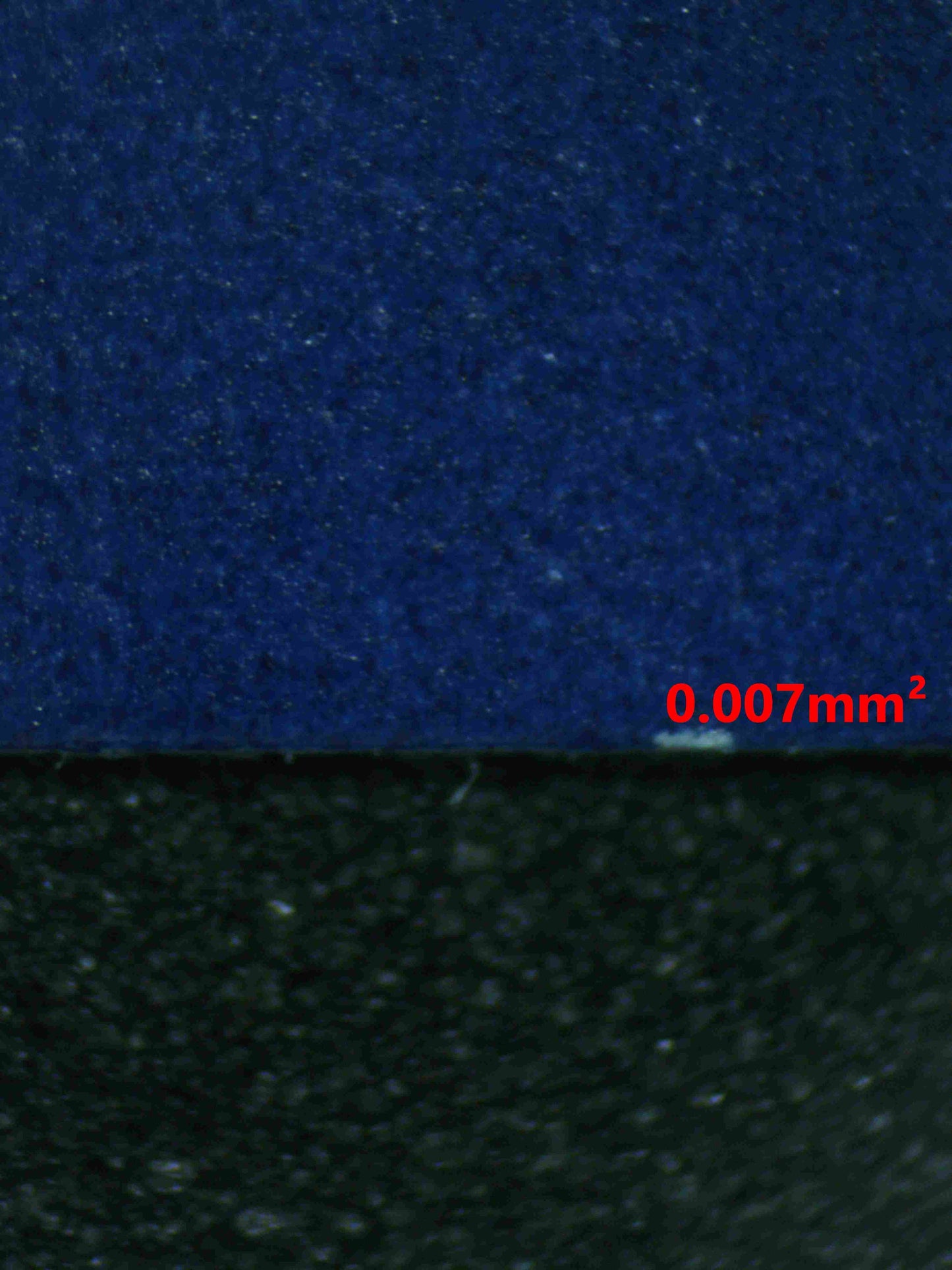 06842 WAILORD (LATAM) Grading Card