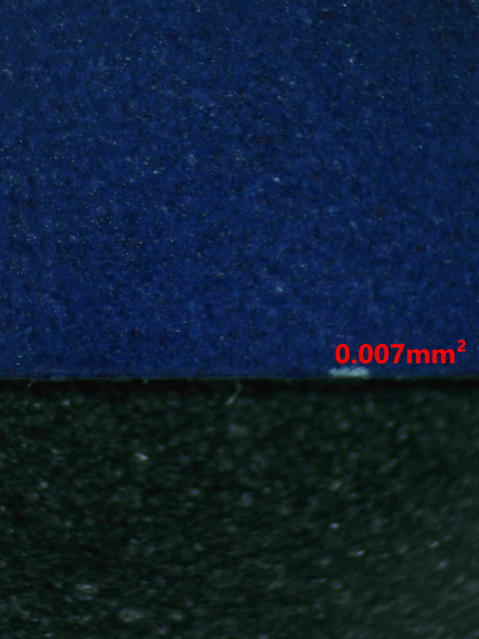 06842 WAILORD (LATAM) Grading Card