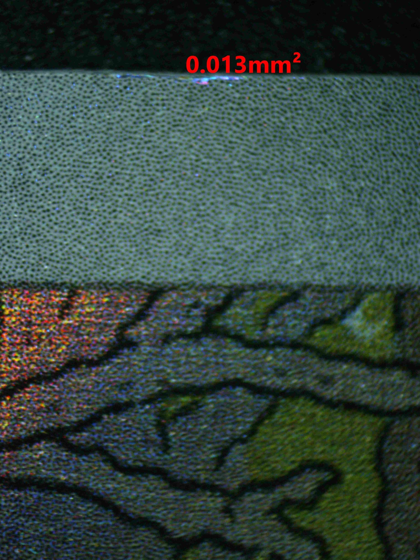 06843 SWINUB (LATAM) Grading Card