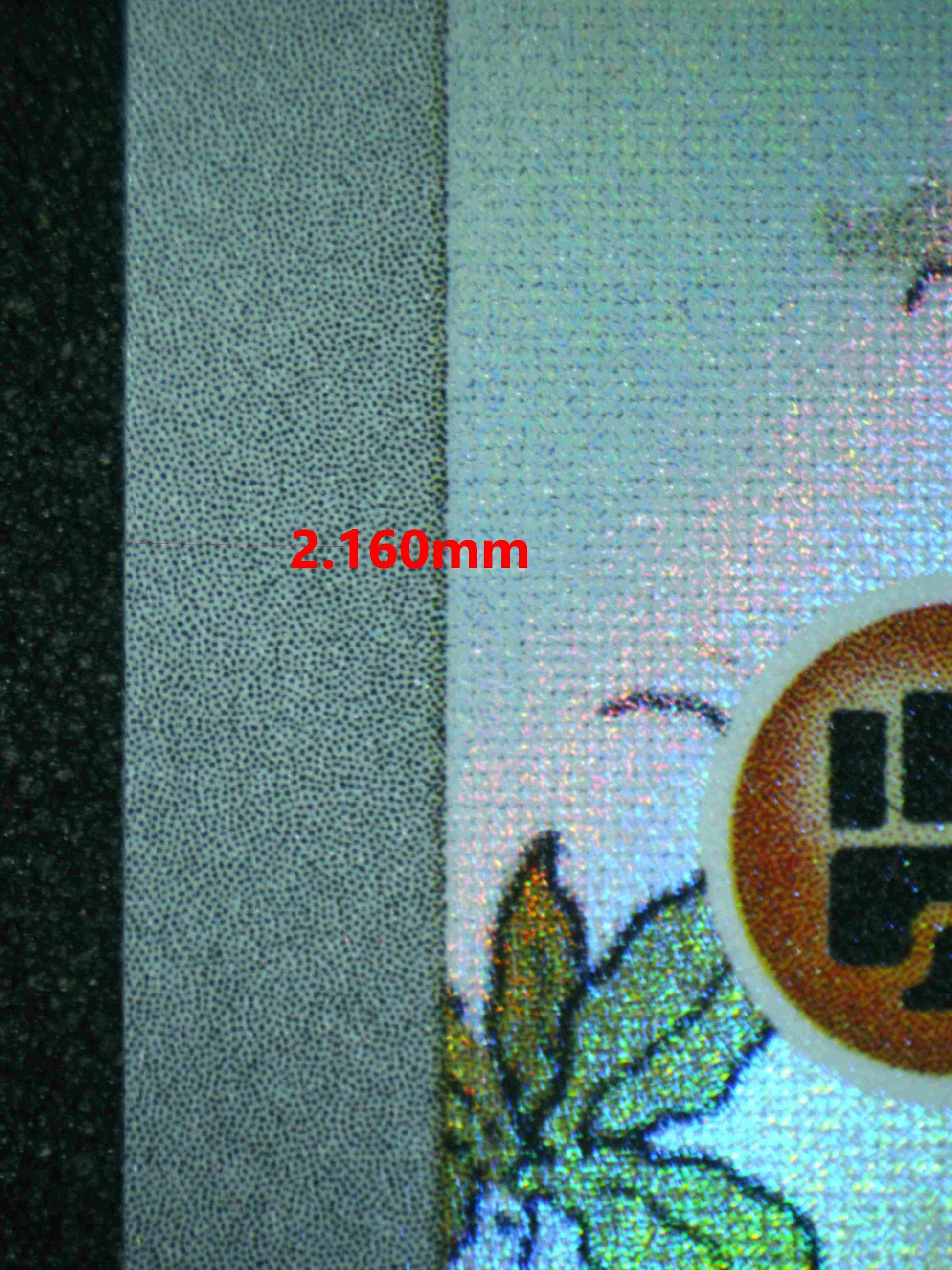 06843 SWINUB (LATAM) Grading Card