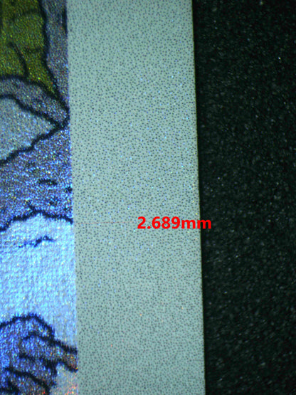 06843 SWINUB (LATAM) Grading Card