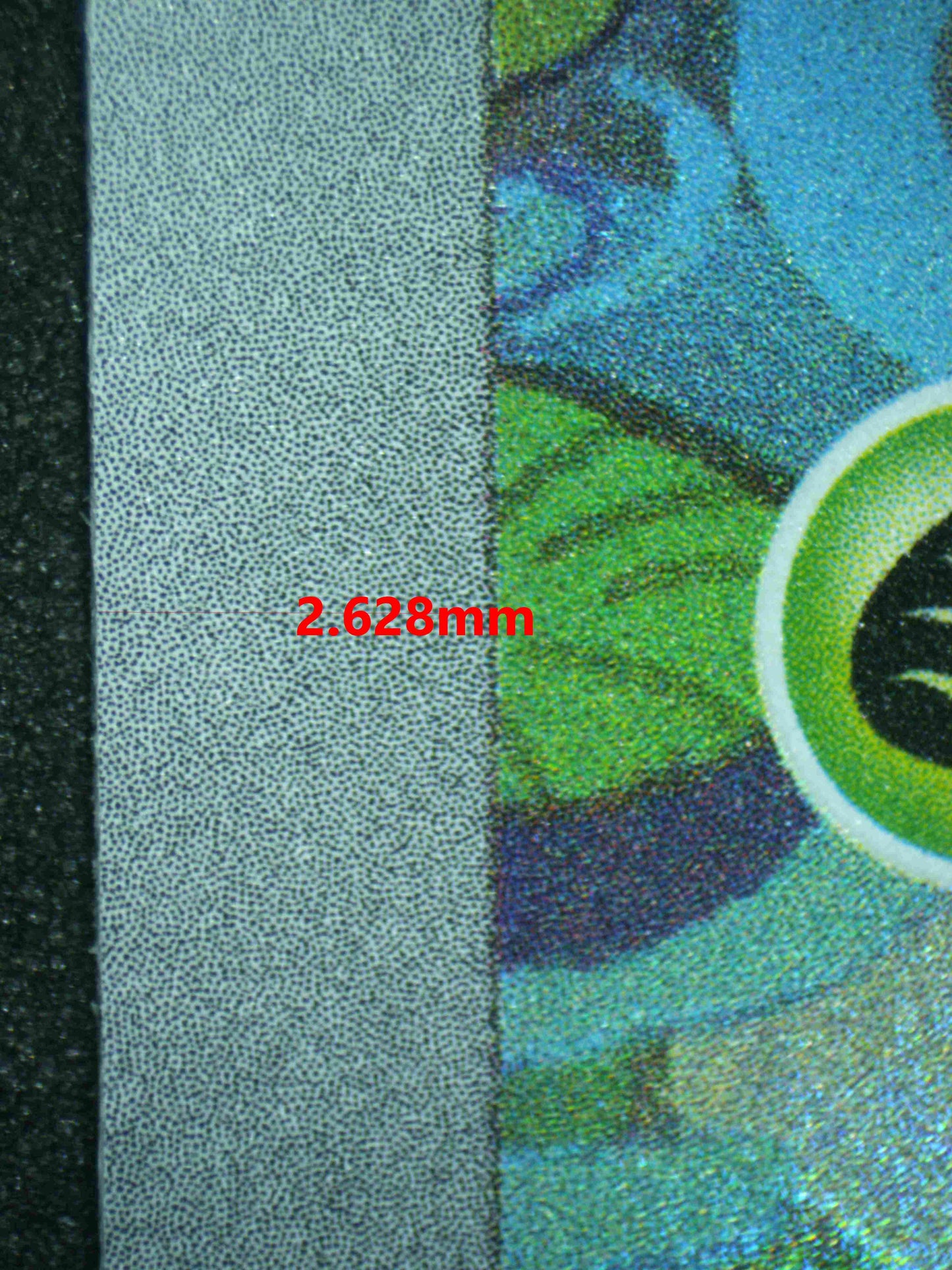 06846 IVYSAUR (SPANISH) Grading Card