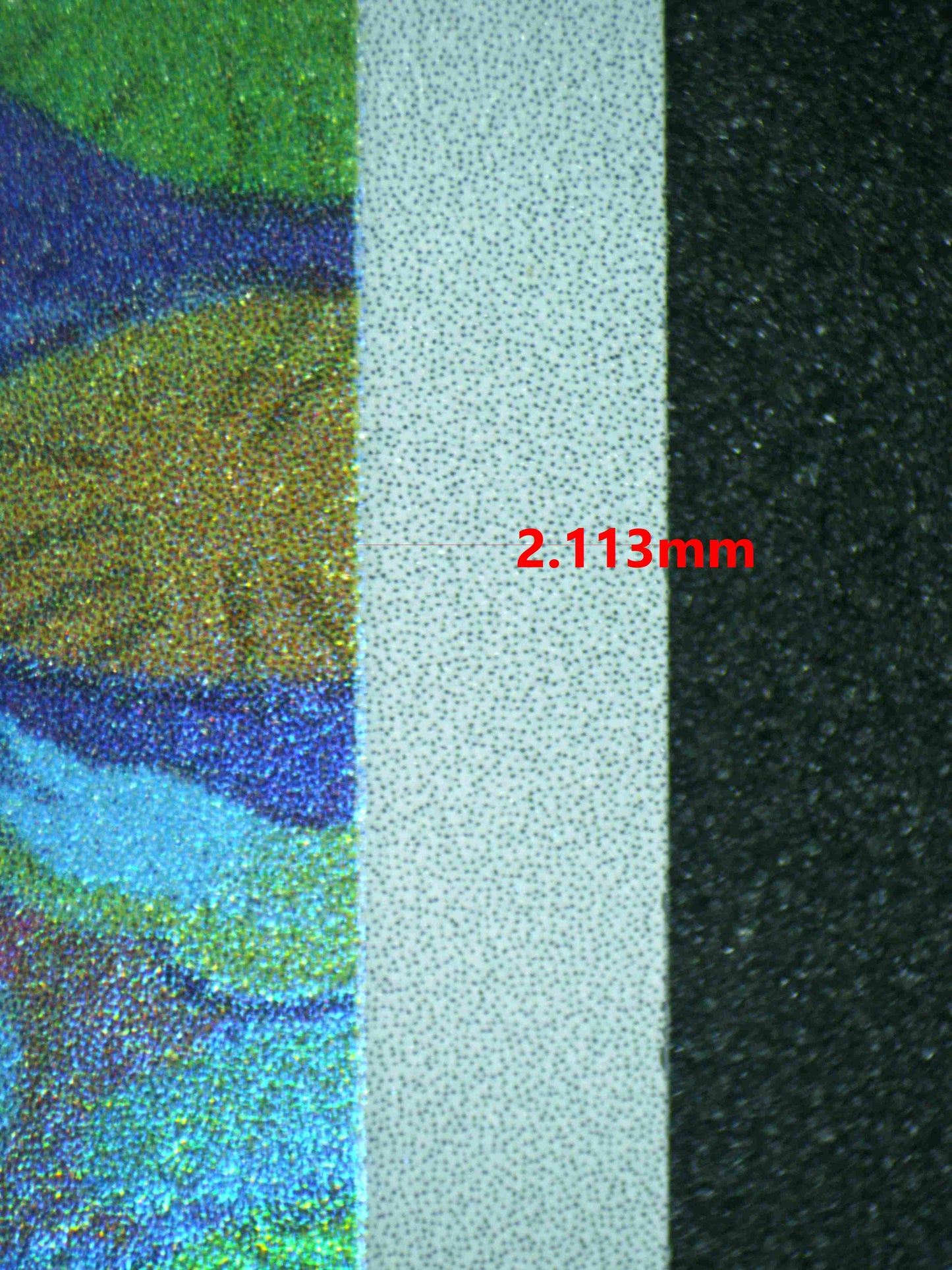 06846 IVYSAUR (SPANISH) Grading Card