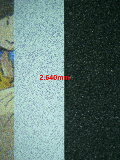 06848 PIKACHU (SPANISH) Grading Card