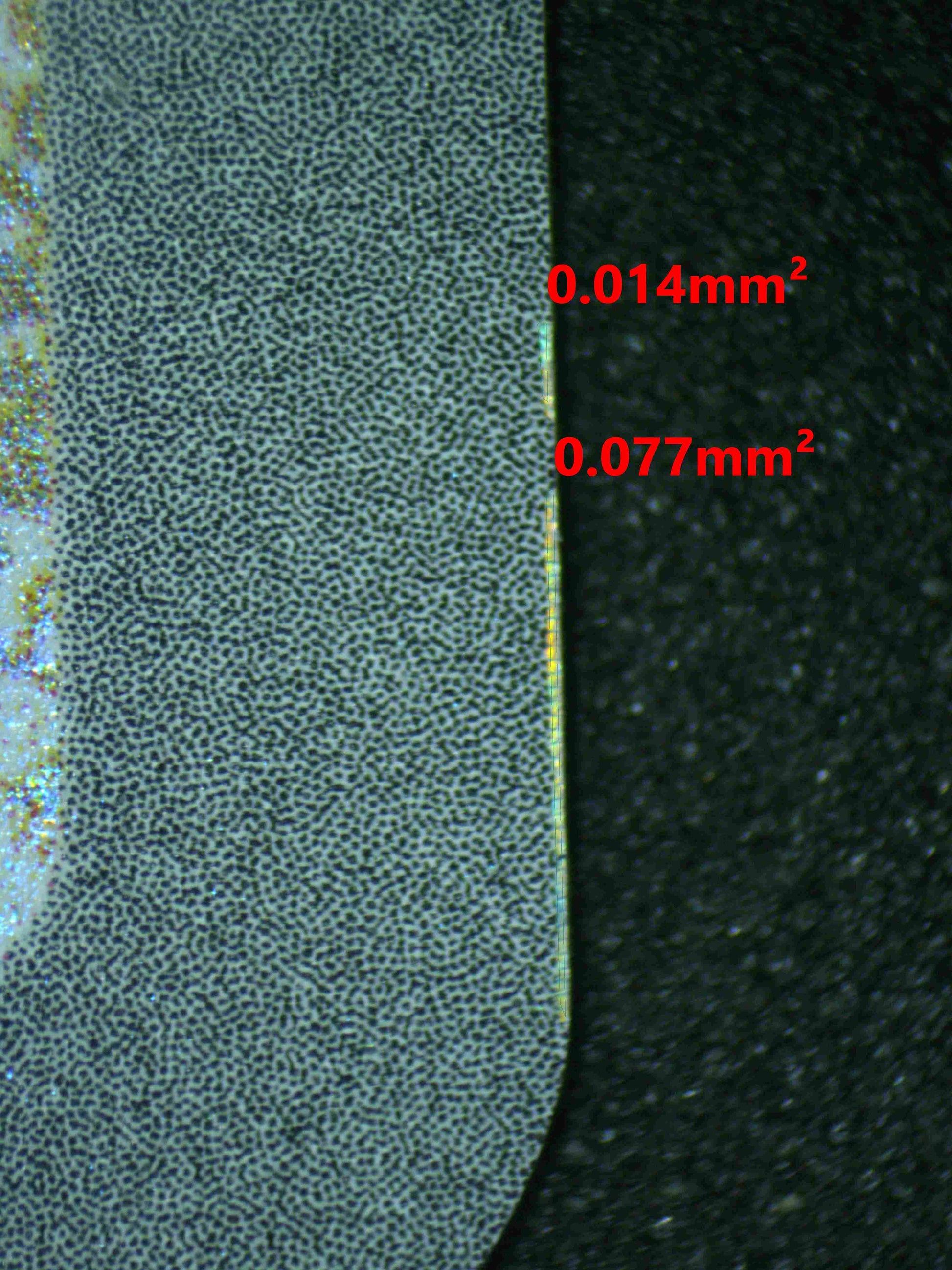 06853 SQUIRTLE (SPANISH) Grading Card