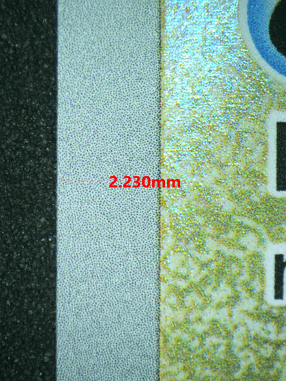 06853 SQUIRTLE (SPANISH) Grading Card