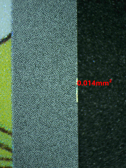 06856 TANGELA (SPANISH) Grading Card