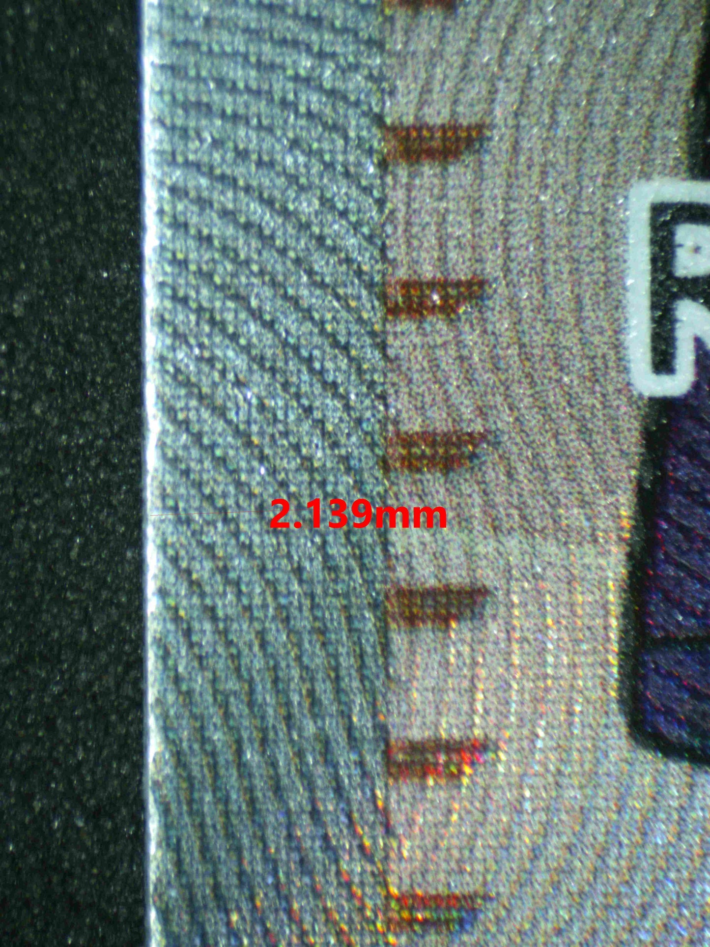 06857 FRIENDS IN PALDEA (SPANISH) Grading Card