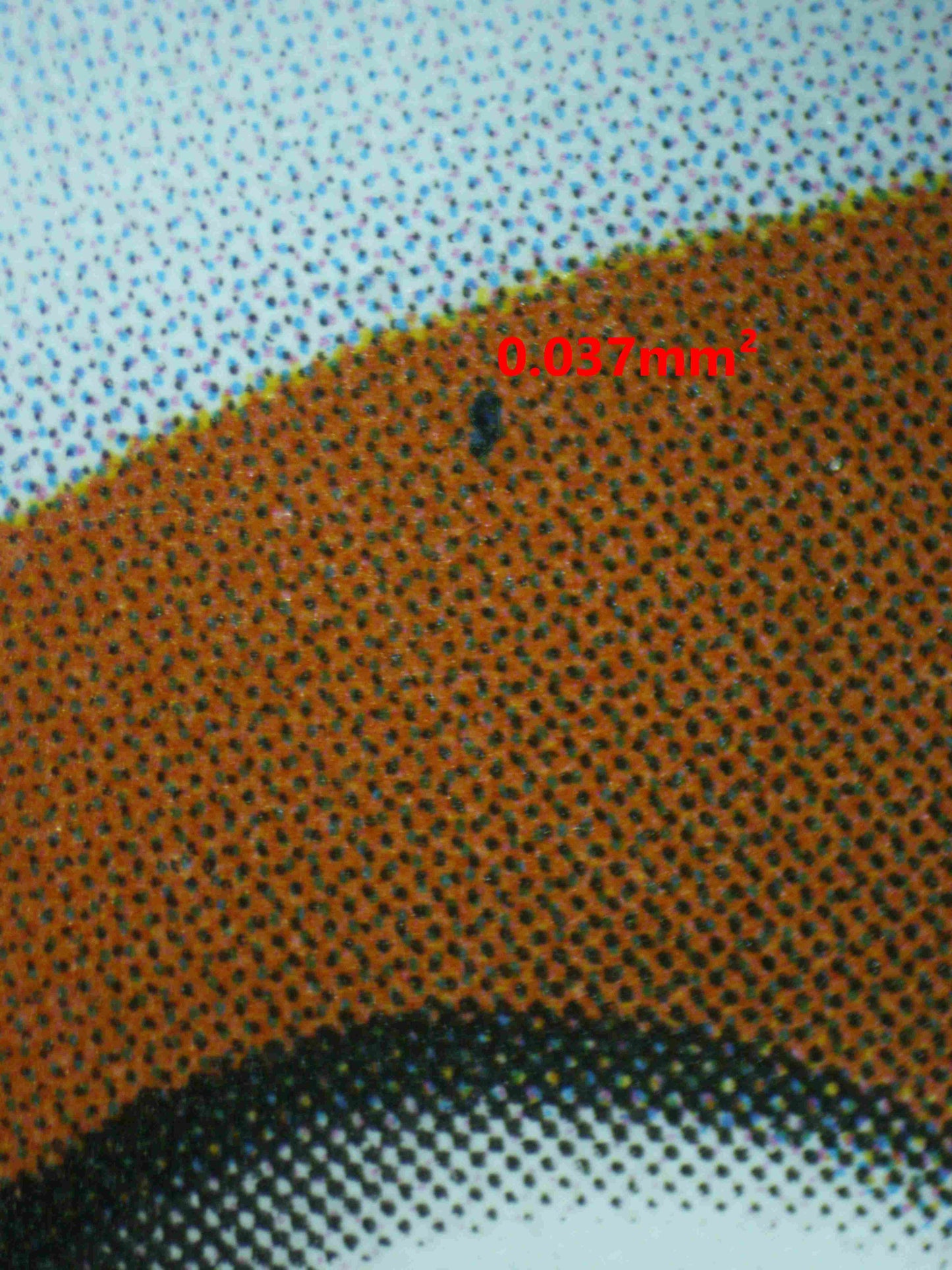 06858 CHARIZARD EX (SPANISH) Grading Card