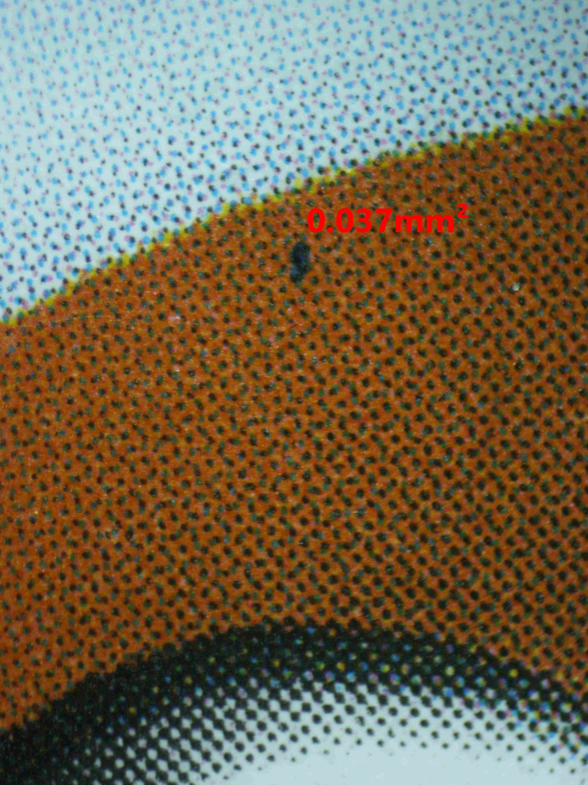 06858 CHARIZARD EX (SPANISH) Grading Card