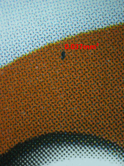 06858 CHARIZARD EX (SPANISH) Grading Card