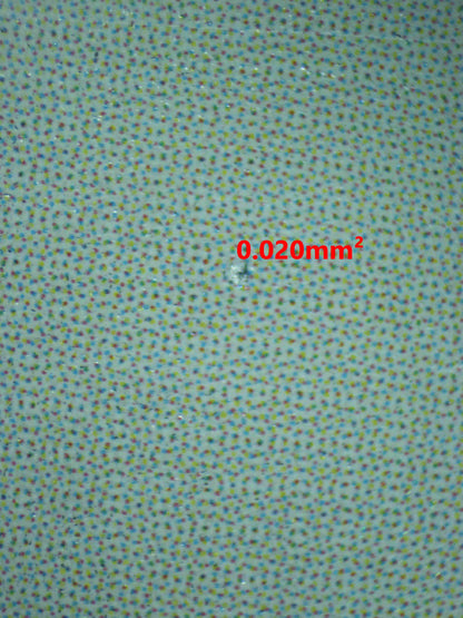 06861 THE ROCKET'S TRAP Grading Card