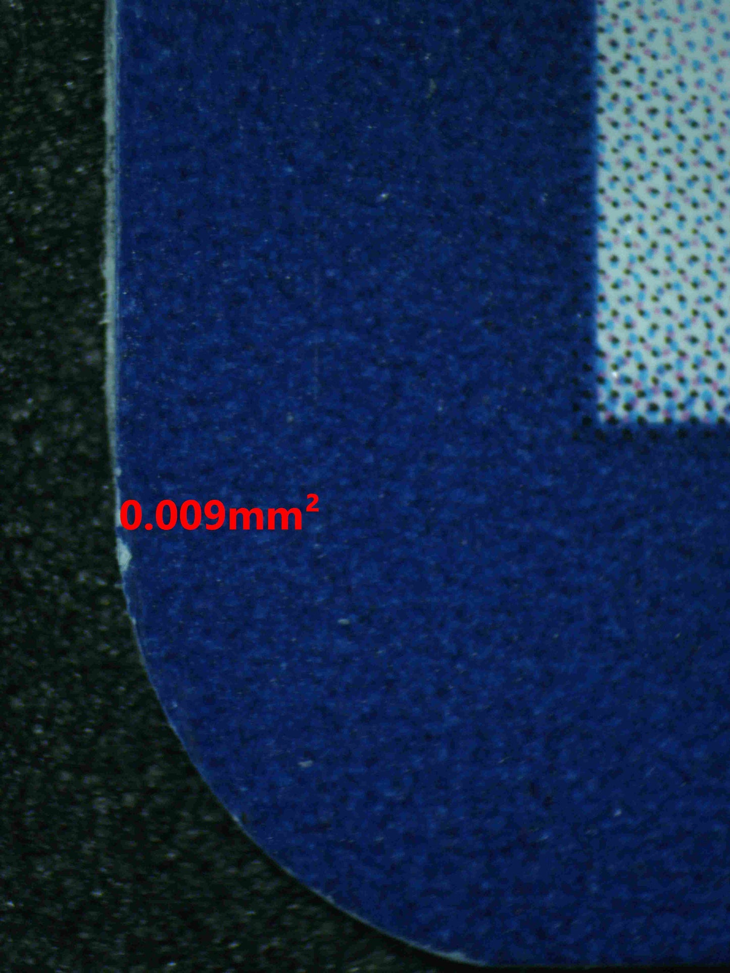 06864 WARTORTLE Grading Card