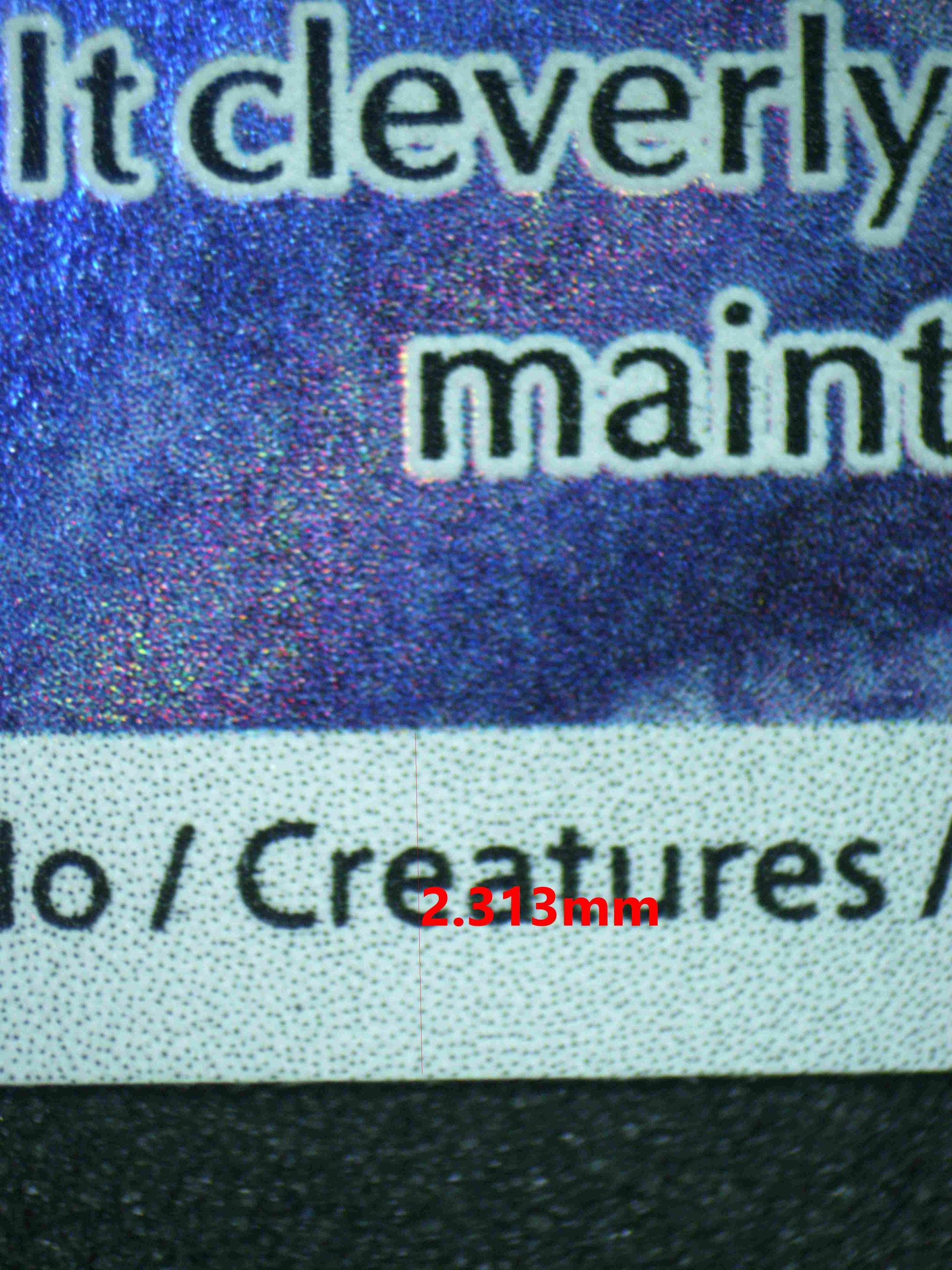 06864 WARTORTLE Grading Card