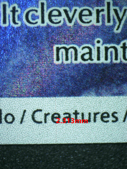 06864 WARTORTLE Grading Card