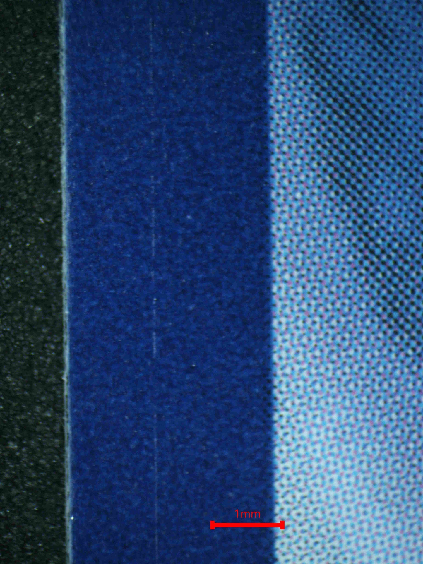 06864 WARTORTLE Grading Card