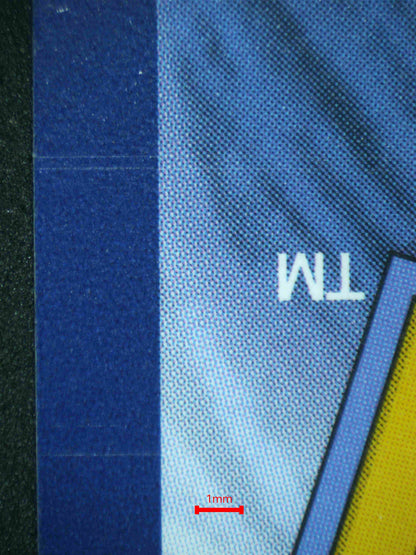 06867 EEVEE EX Grading Card