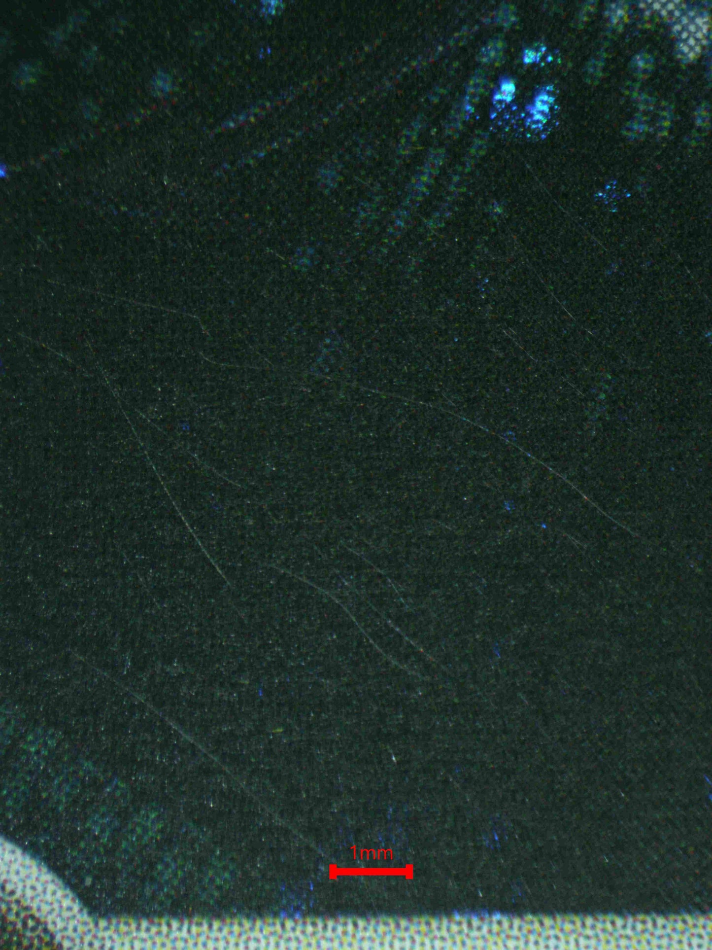 06873 DARK HOUNDOOM Grading Card