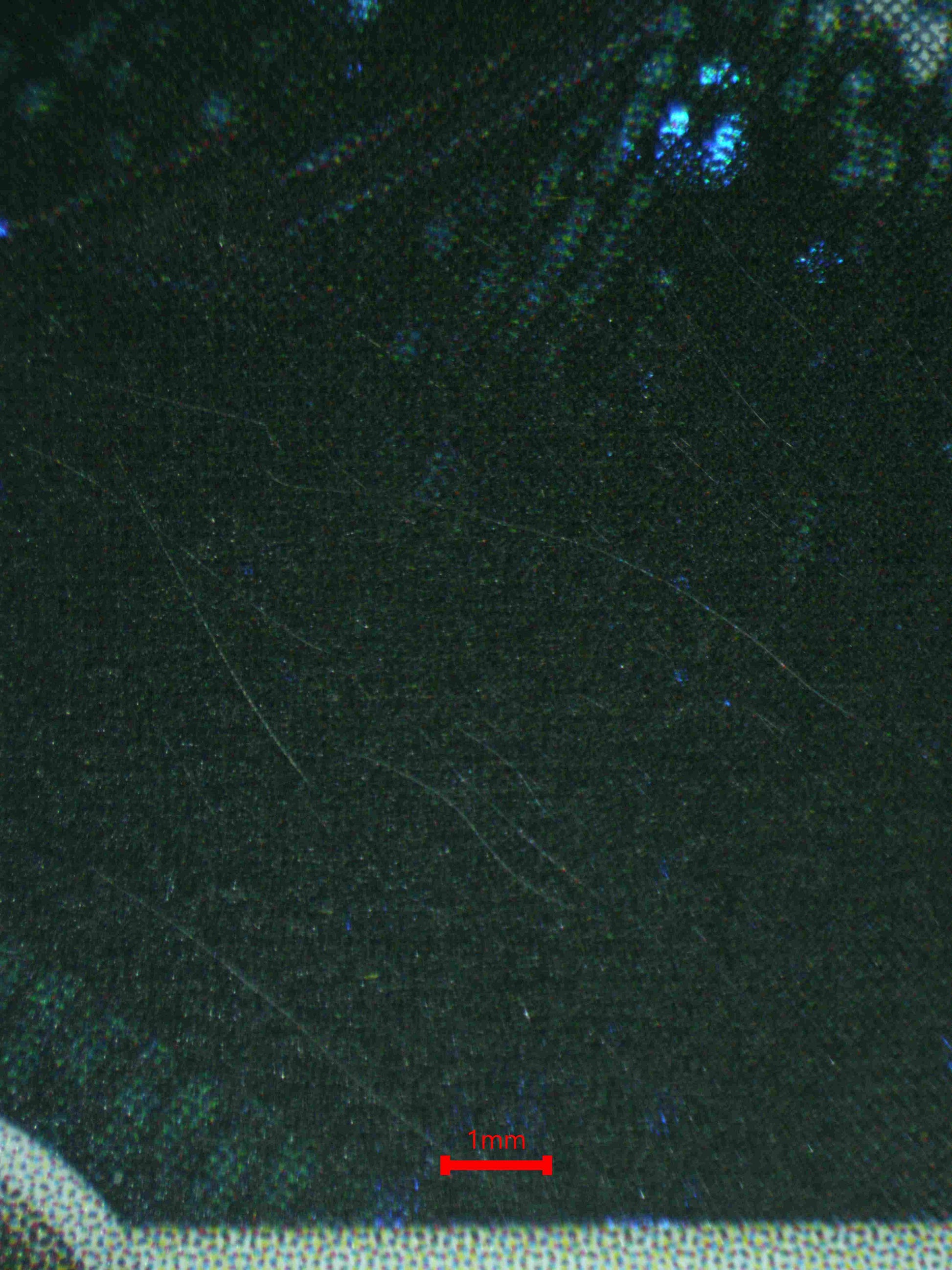 06873 DARK HOUNDOOM Grading Card