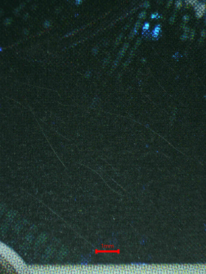 06873 DARK HOUNDOOM Grading Card