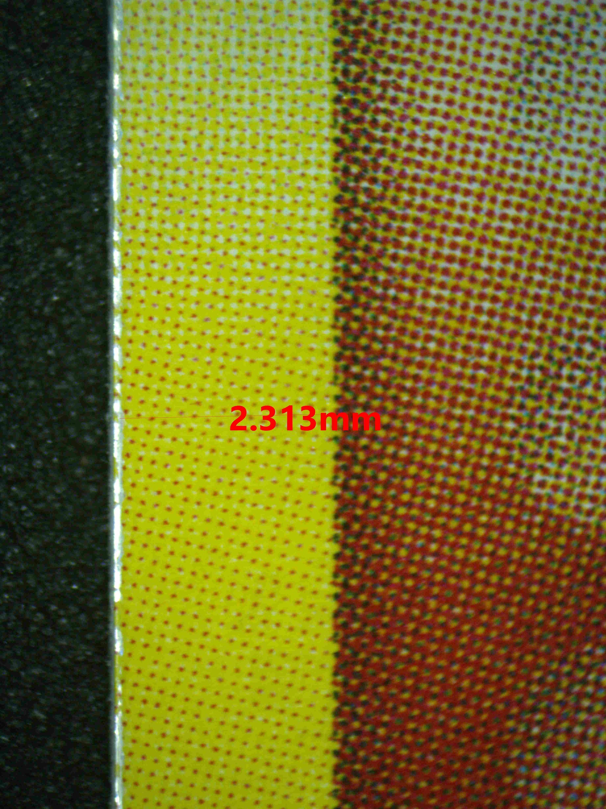 06873 DARK HOUNDOOM Grading Card