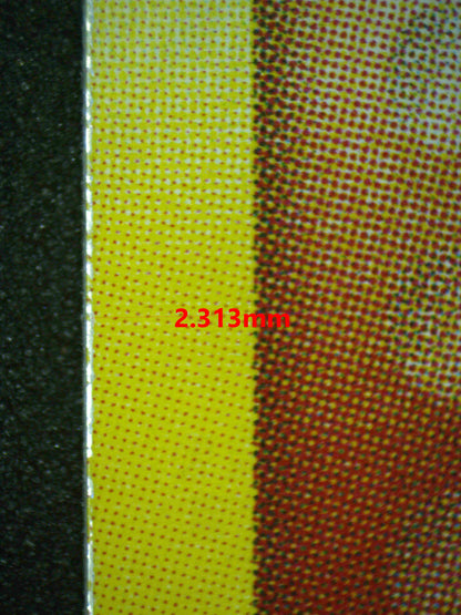 06873 DARK HOUNDOOM Grading Card