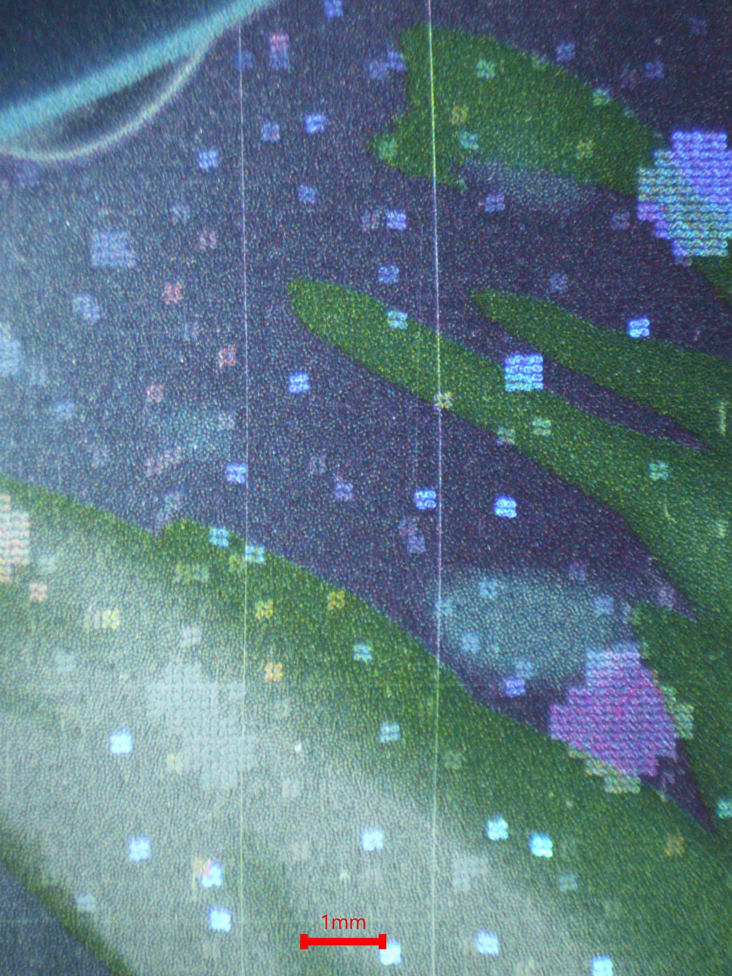 06874 LUGIA Grading Card