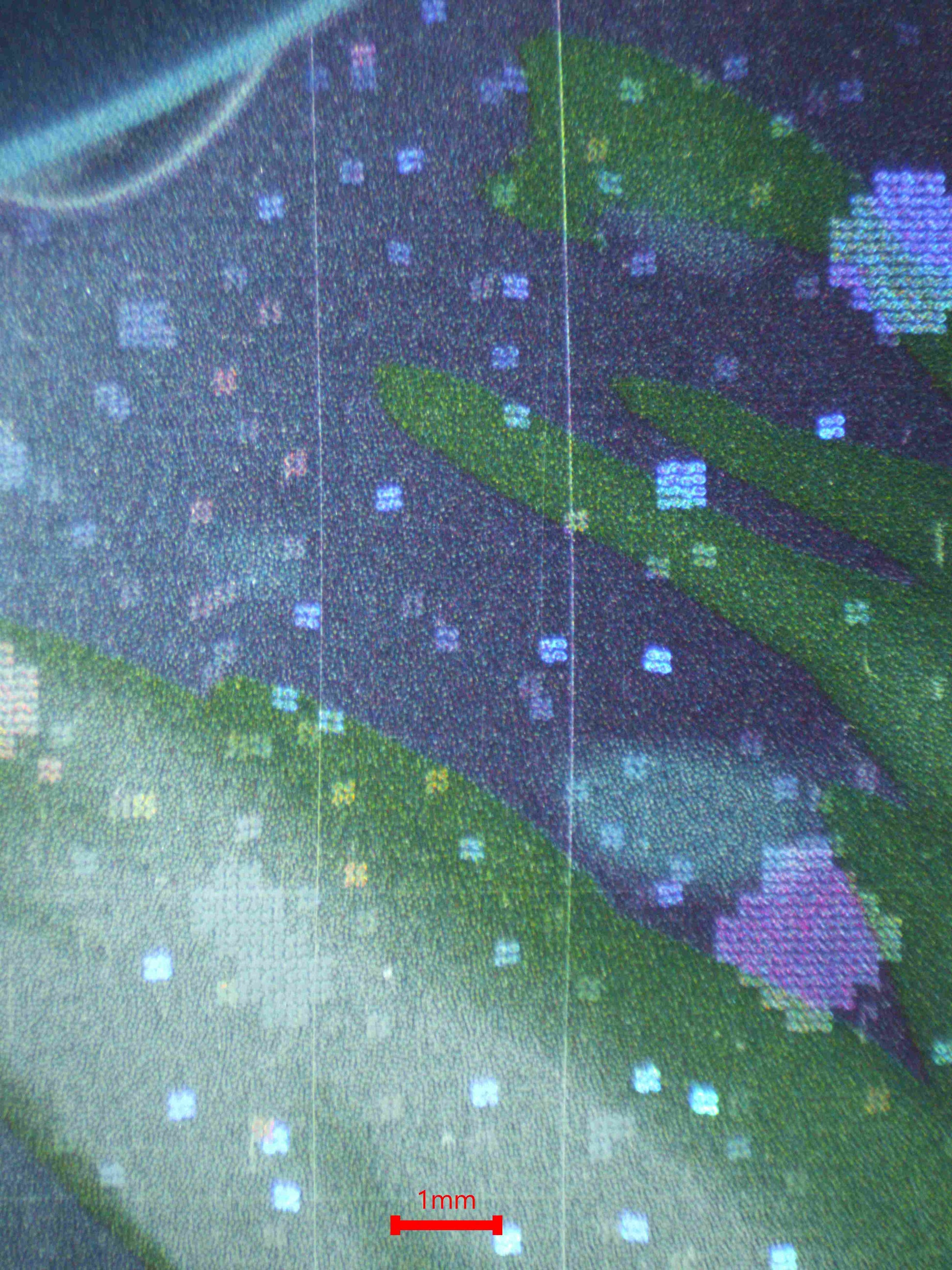 06874 LUGIA Grading Card