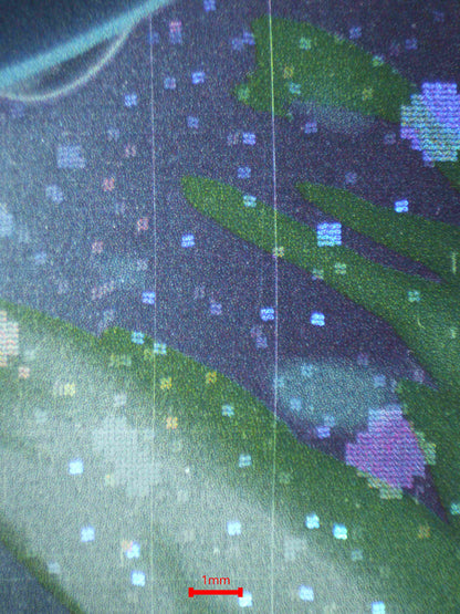 06874 LUGIA Grading Card