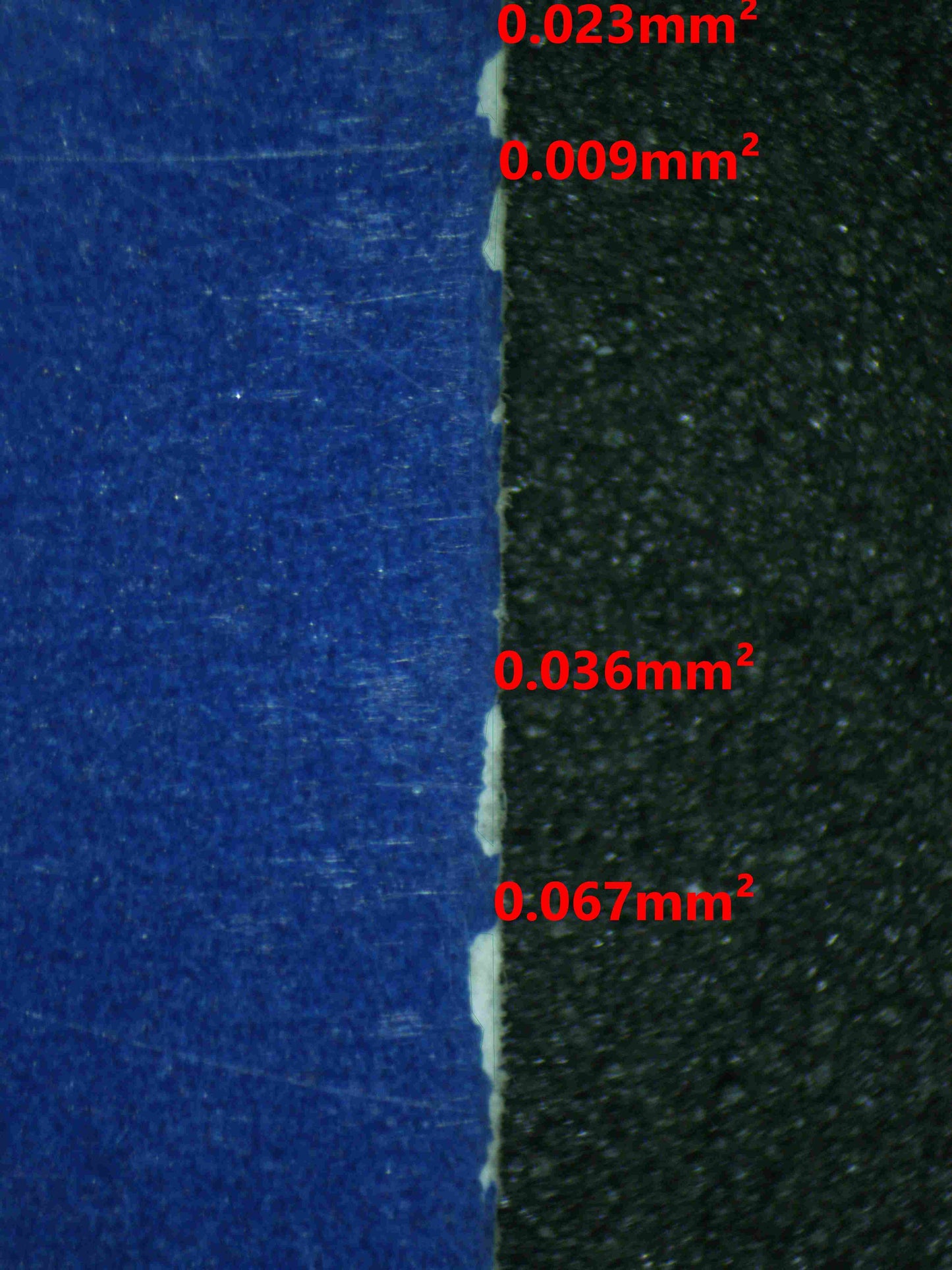 06877 UMBREON Grading Card