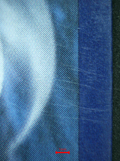 06878 RESHIRAM & CHARIZARD GX Grading Card