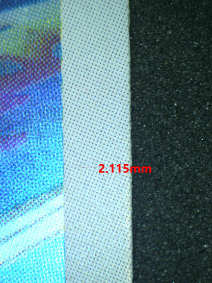 06881 ETHAN'S TYPHLOSION (JAPANESE) Grading Card