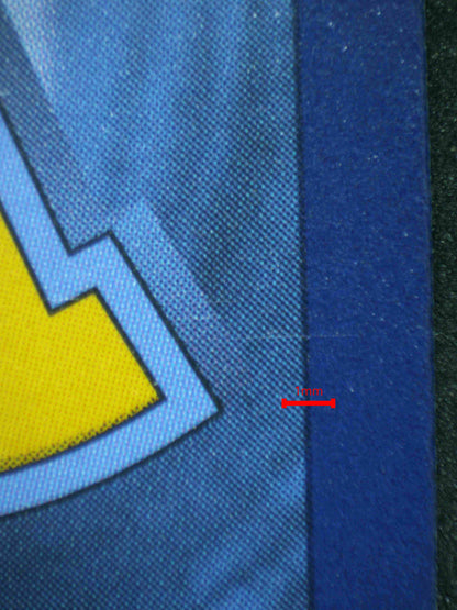 06889 GLACEON EX Grading Card