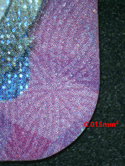 06889 GLACEON EX Grading Card