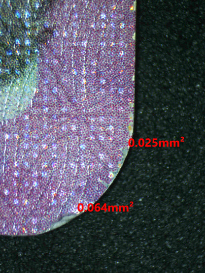 06892 EEVEE EX Grading Card