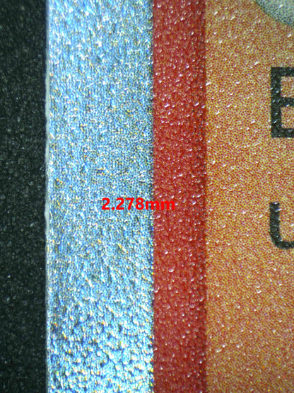 06895 ENTEI (SPANISH) Grading Card