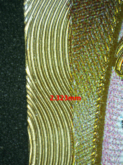 06896 MEW EX (METAL CARD) Grading Card