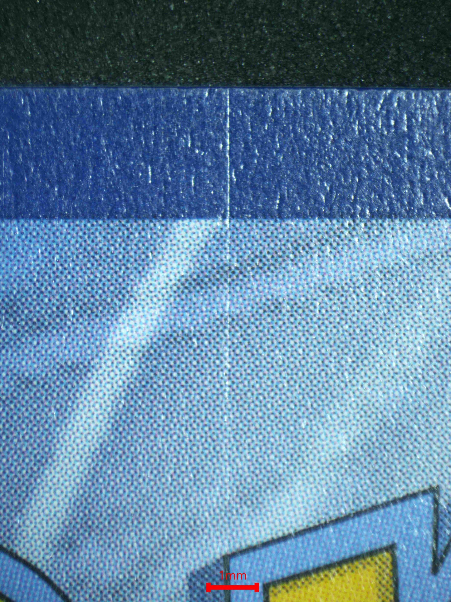 06897 PIKACHU Grading Card