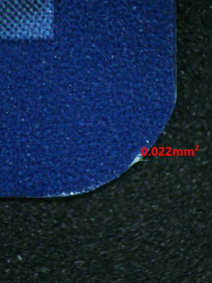 06898 SQUIRTLE Grading Card