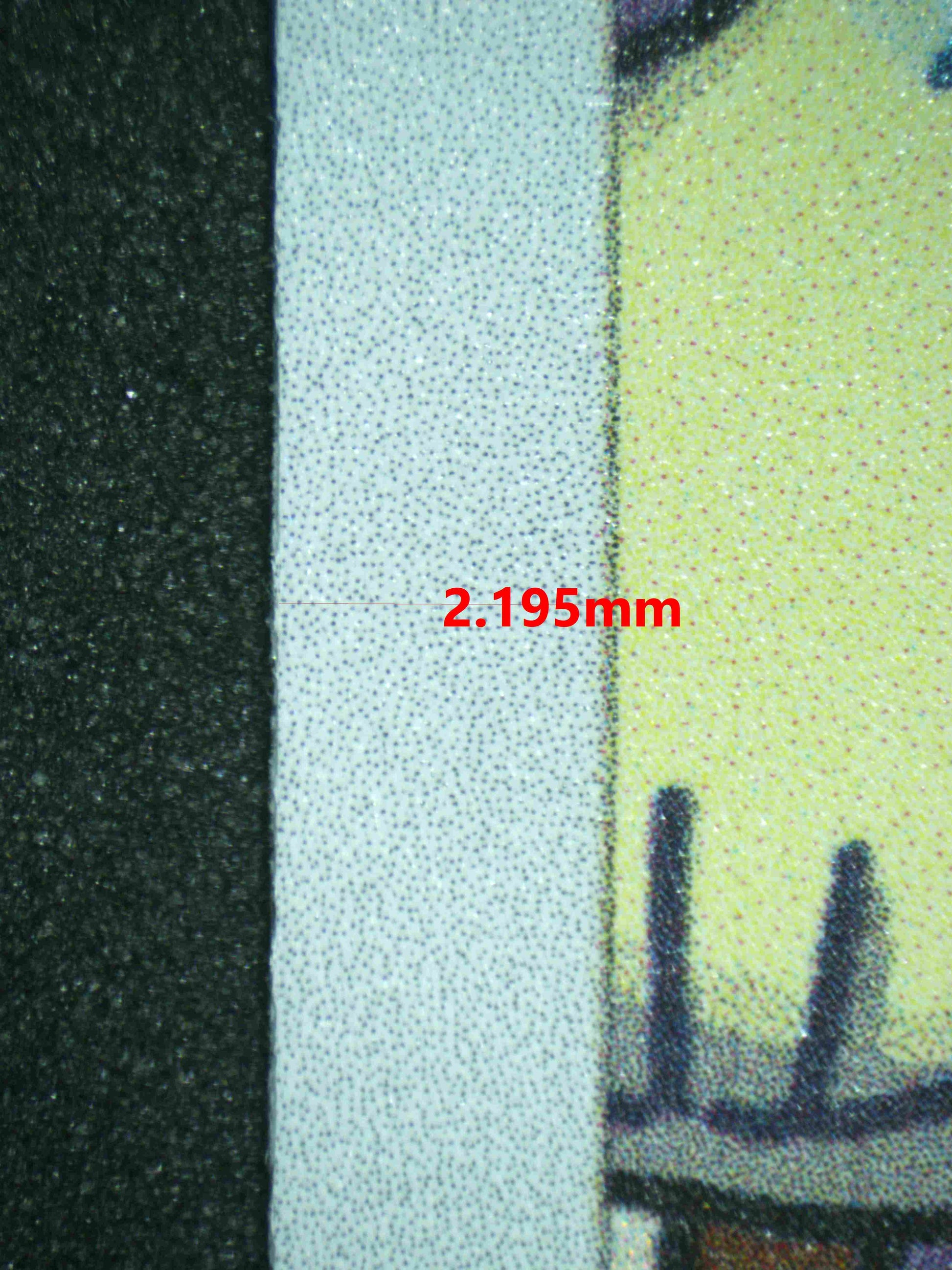 06898 SQUIRTLE Grading Card