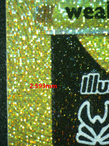 05005 PIKACHU VMAX Grading Card