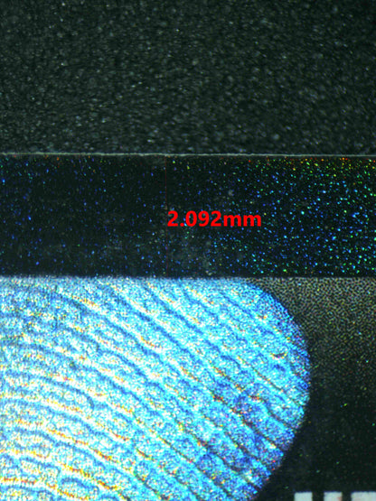 05010 GARCHOMP V Grading Card