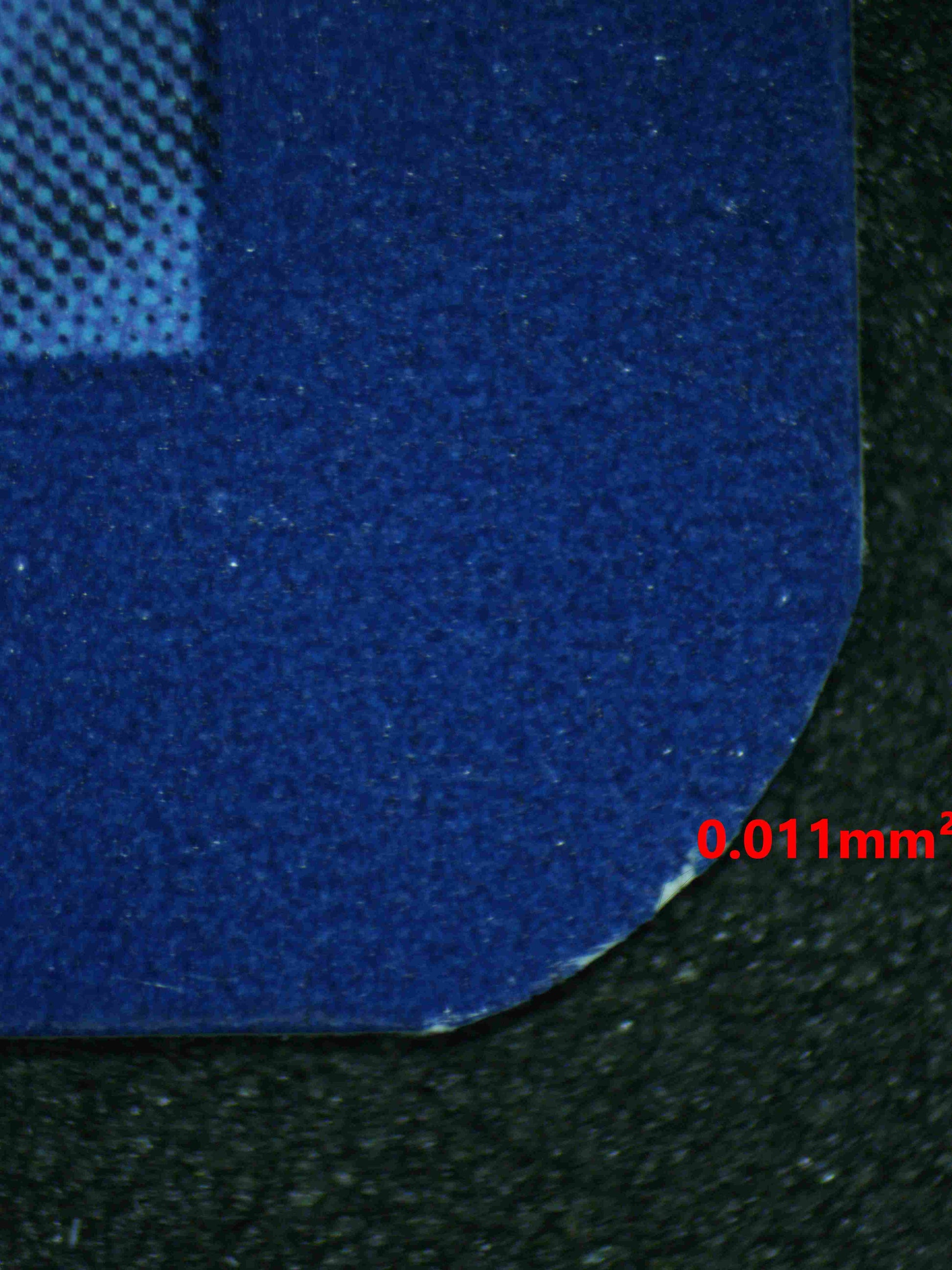 05013 EEVEE Grading Card