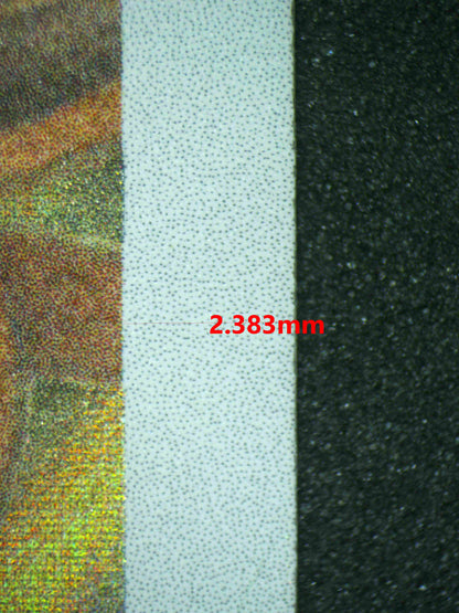 05013 EEVEE Grading Card