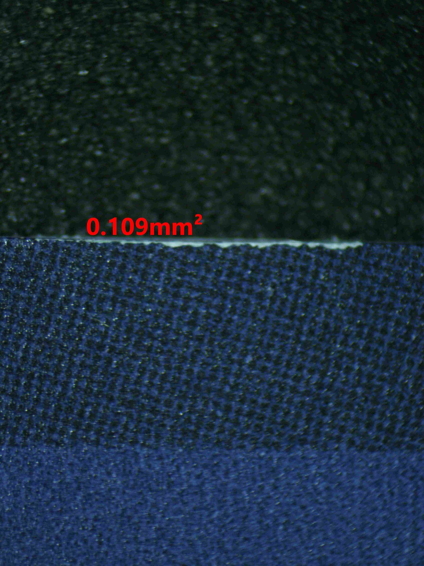 05016 CHARLOTTE PUDDING Grading Card