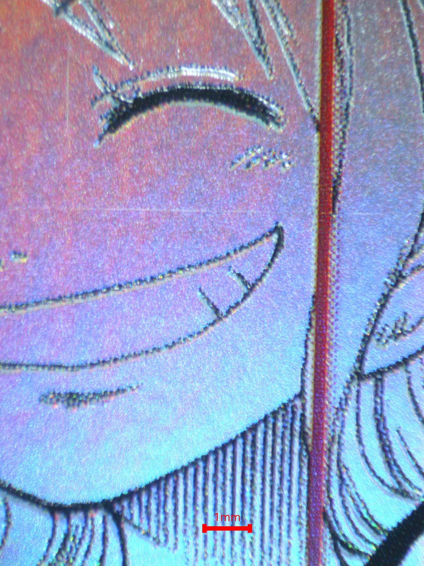 05020 NAMI Grading Card