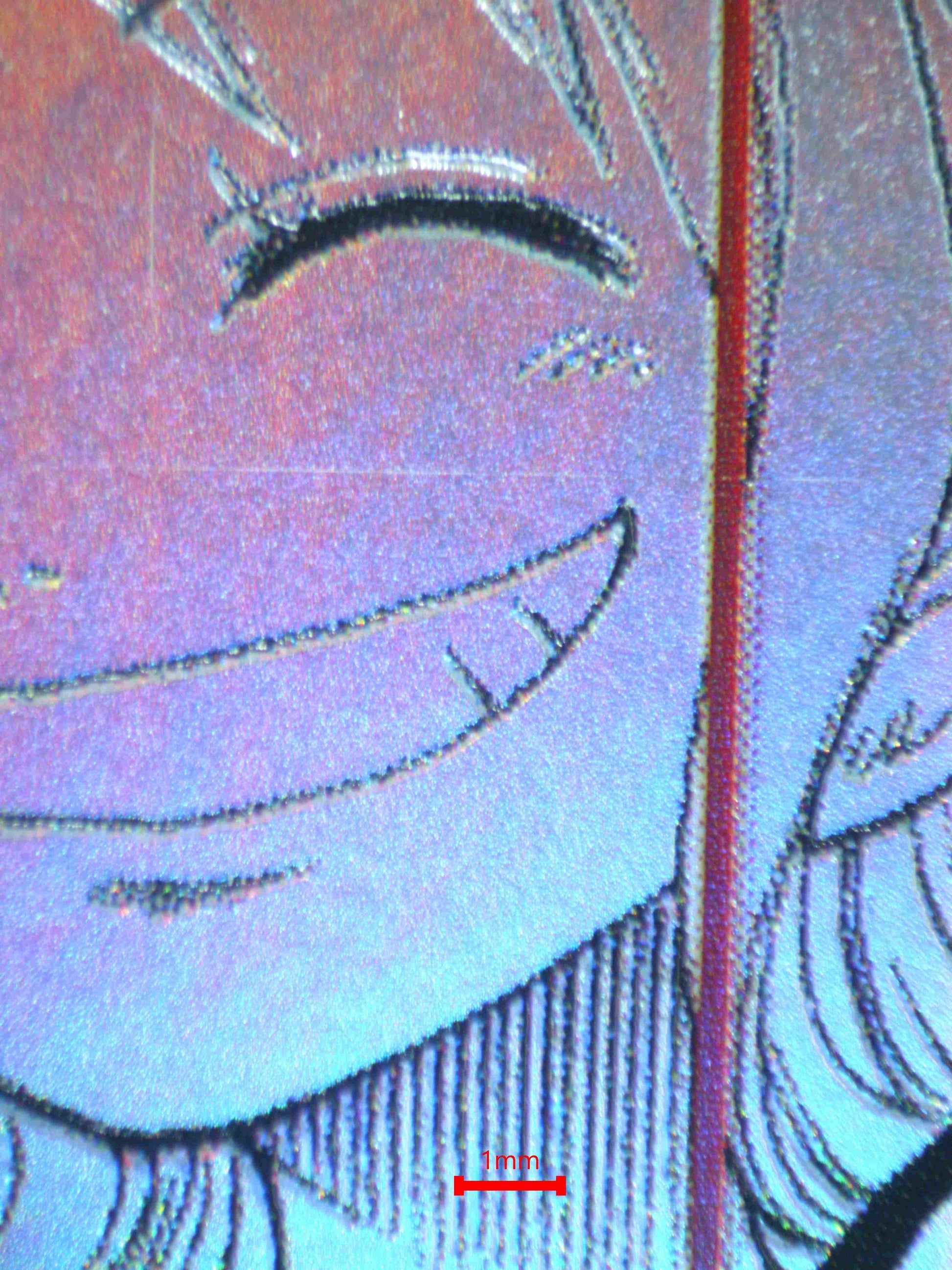 05020 NAMI Grading Card