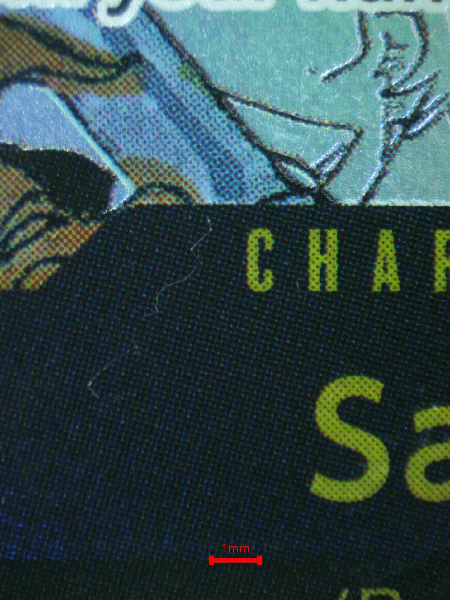 05029 SABO Grading Card